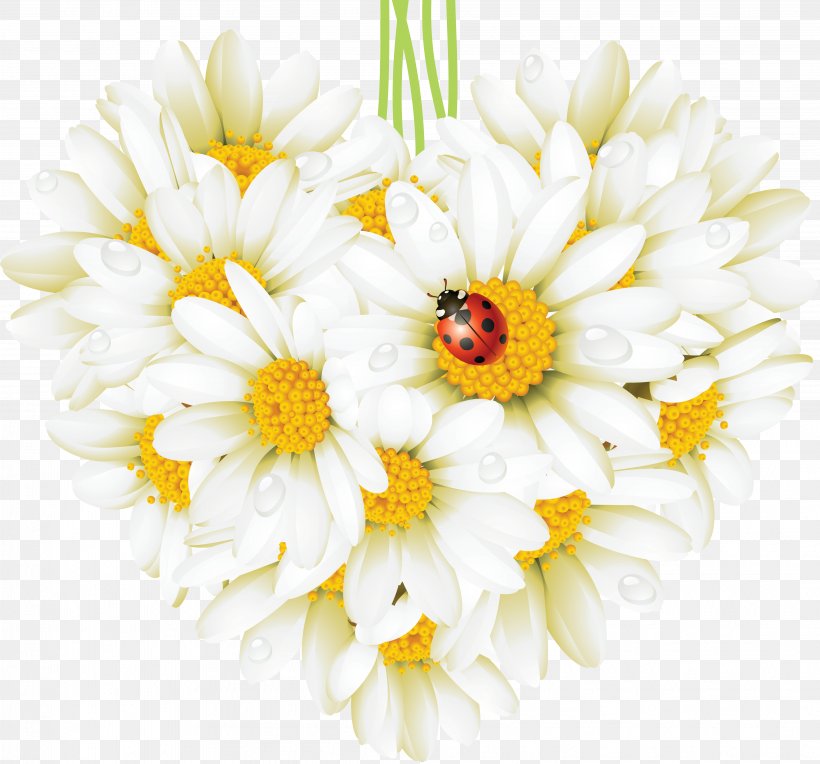 Common Daisy Flower Heart Beetle Ladybird, PNG, 4034x3760px, Watercolor, Cartoon, Flower, Frame, Heart Download Free