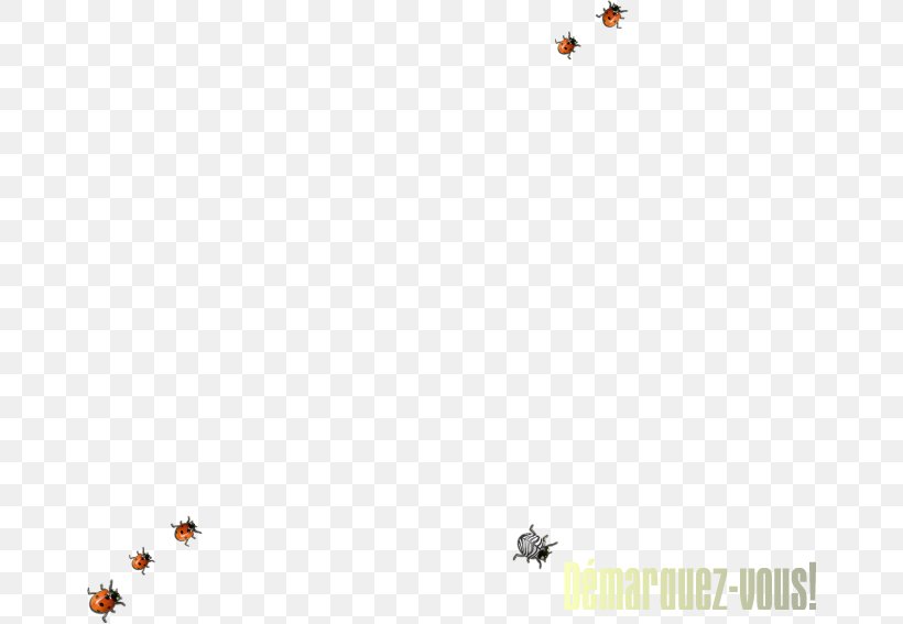 Insect Desktop Wallpaper Pollinator Computer Font, PNG, 662x567px, Insect, Computer, Grass, Invertebrate, Membrane Winged Insect Download Free