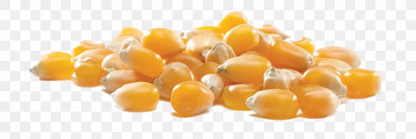 Popcorn Maize Corn On The Cob Corn Kernel Sweet Corn, PNG, 1800x603px, Popcorn, Anticaking Agent, Commodity, Condiment, Corn Kernel Download Free