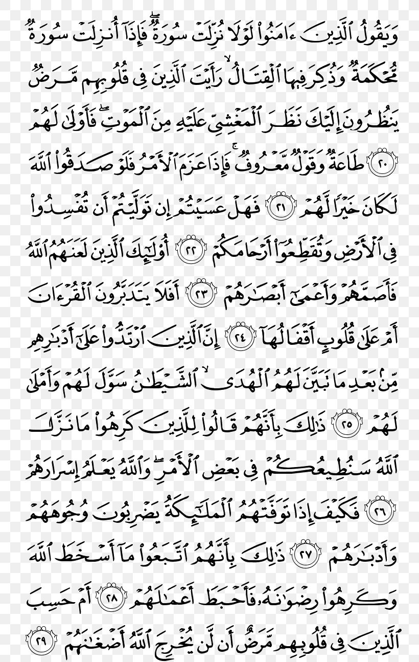 Quran At-Tawba Al-Qasas Al-Baqara Surah, PNG, 800x1294px, Quran, Alahqaf, Albaqara, Alfath, Aljathiya Download Free