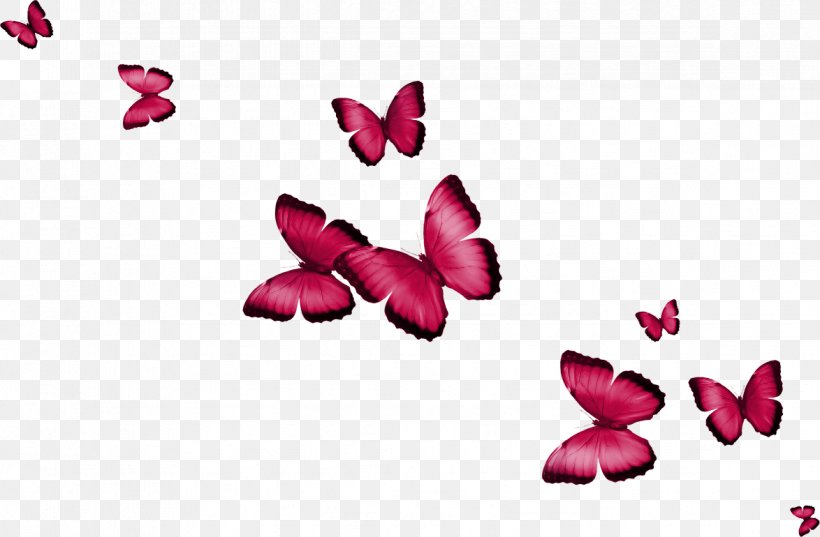 Butterfly Clip Art, PNG, 1174x770px, Butterfly, Arthropod, Blue, Blue Butterfly, Butterflies And Moths Download Free