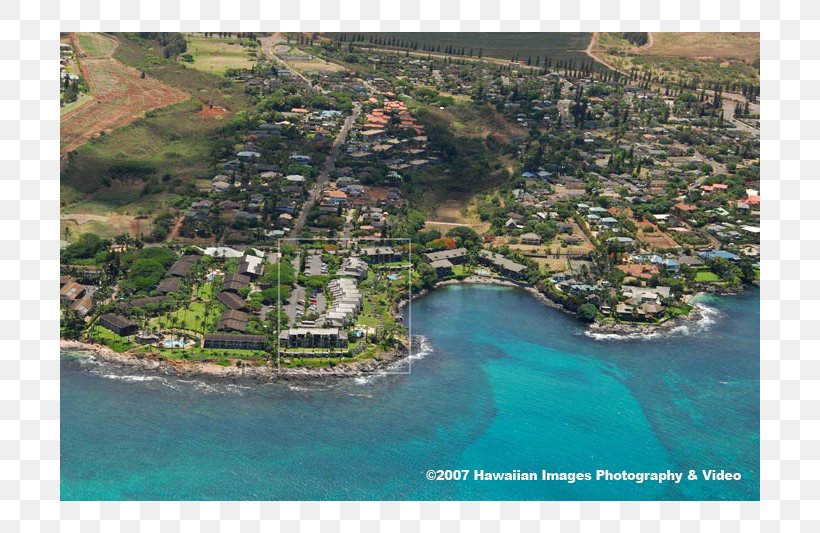 Napili Bay Lahaina Napili Point Resort Coast, PNG, 800x533px, Lahaina, Accommodation, Aerial Photography, Airbnb, Bay Download Free