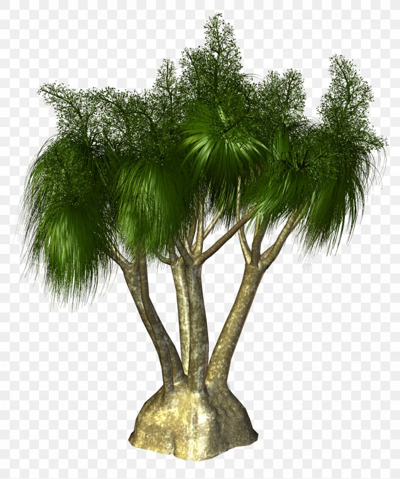 Palm Trees Clip Art Stock.xchng Illustration, PNG, 1023x1224px, Palm Trees, Arecales, Asian Palmyra Palm, Borassus, Branch Download Free