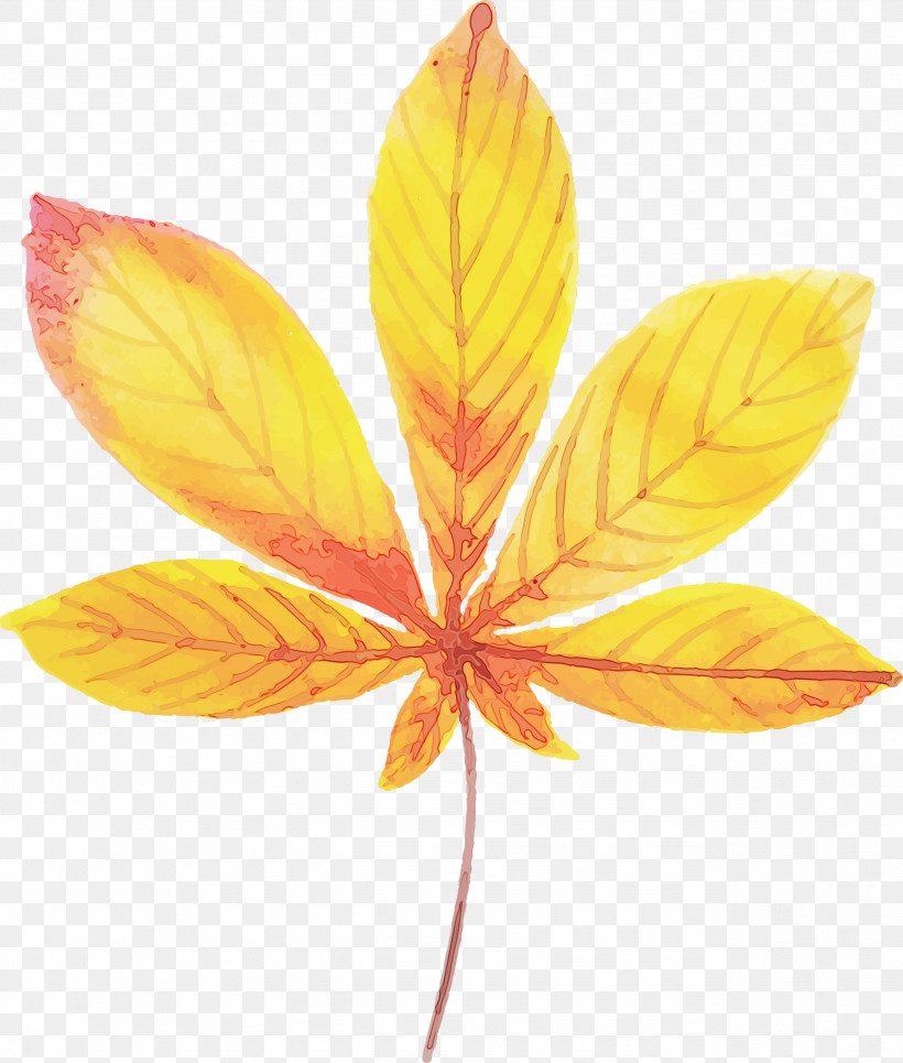 Petal Leaf Science Plant Structure Plants, PNG, 2548x3000px, Autumn Leaf, Biology, Leaf, Paint, Petal Download Free