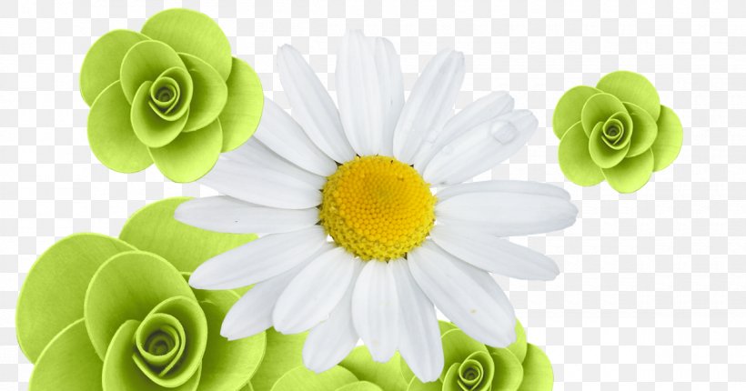 Transvaal Daisy Floral Design Cut Flowers Petal, PNG, 1200x630px, Transvaal Daisy, Cut Flowers, Daisy Family, Floral Design, Floristry Download Free