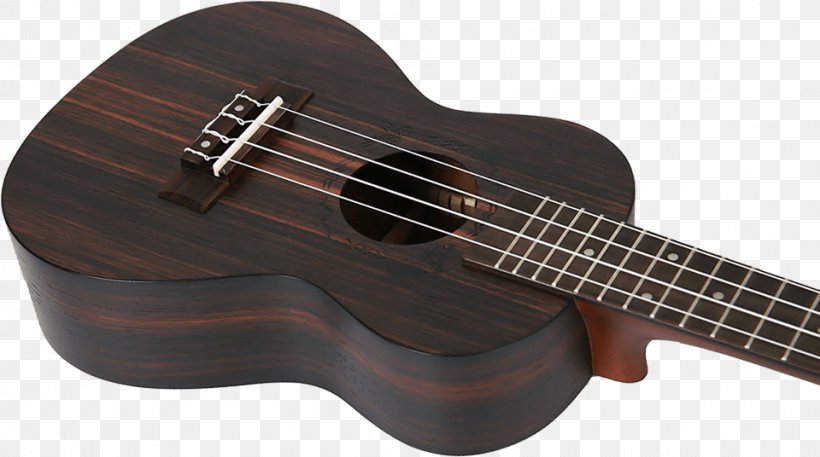 Ukulele Bass Guitar Acoustic Guitar Cuatro Acoustic-electric Guitar, PNG, 960x536px, Watercolor, Cartoon, Flower, Frame, Heart Download Free