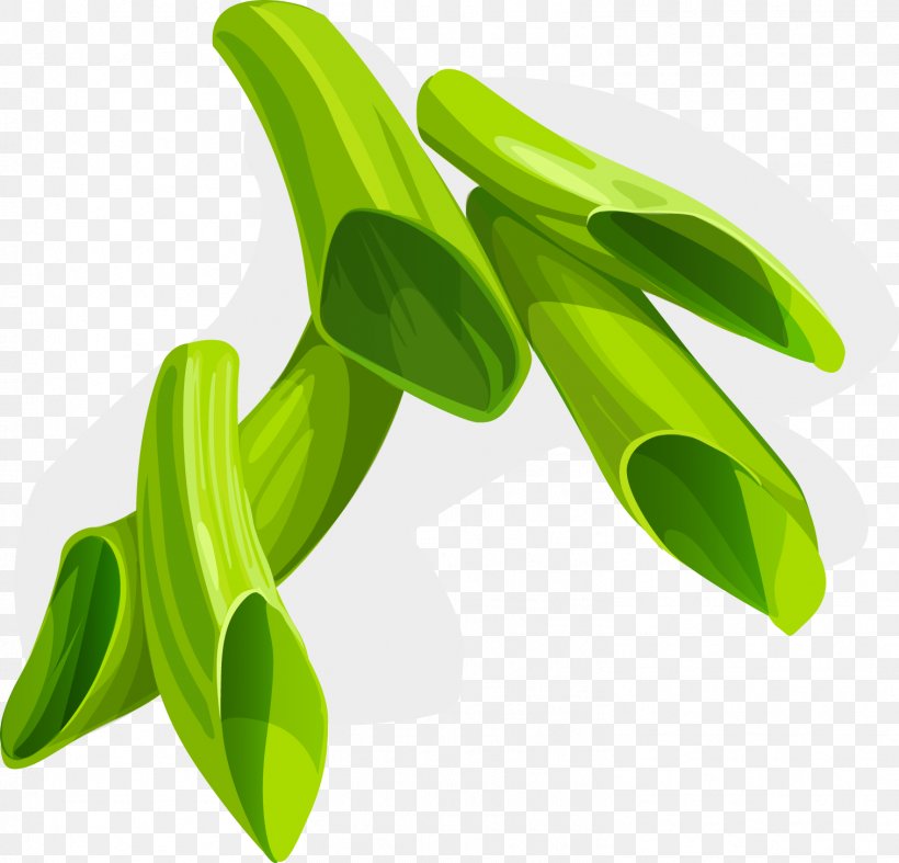 Allium Fistulosum Scallion, PNG, 1514x1454px, Allium Fistulosum, Grass, Green, Leaf, Onion Download Free
