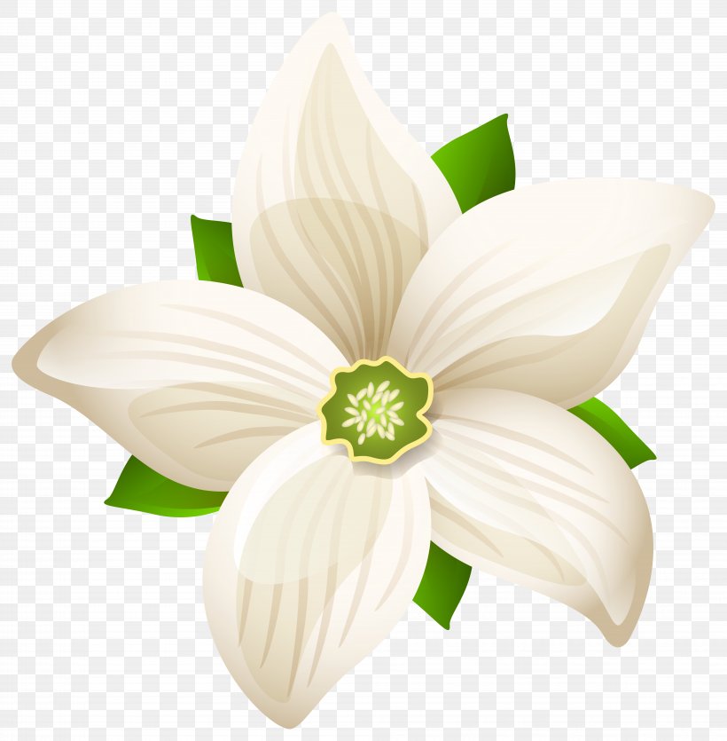 Black And White Flower, PNG, 8048x8203px, Flower, Black, Black And White, Flowering Plant, Green Download Free