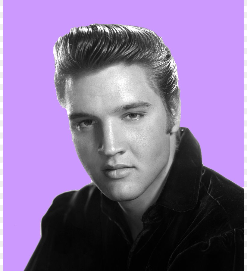 Elvis [Tribute To Elvis Presley, Pioneer And King] Live A Little, Love A Little Graceland Tupelo, PNG, 800x900px, Watercolor, Cartoon, Flower, Frame, Heart Download Free
