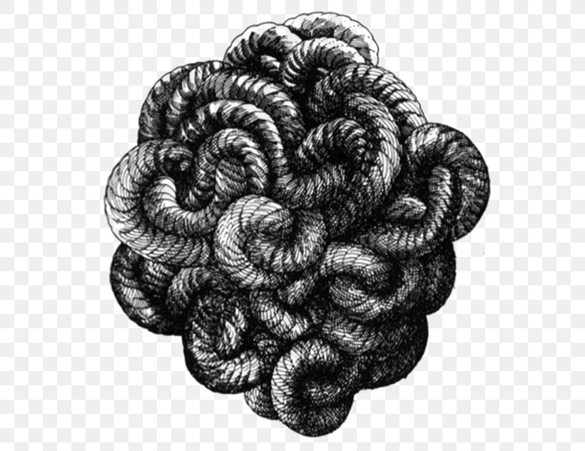 Gordian Knot Drawing Poetry, Aphorisms, And Affirmations Celtic Knot, PNG, 669x632px, Gordian Knot, Art, Black And White, Celtic Knot, Drawing Download Free