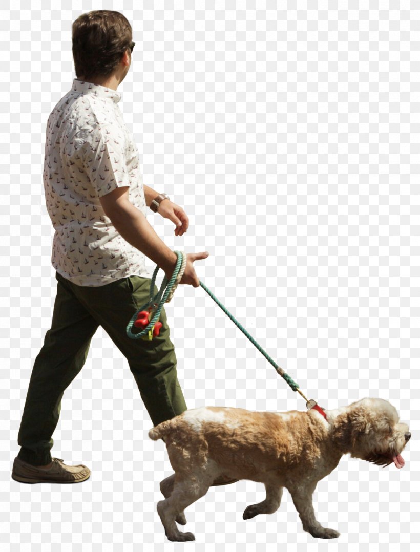 Dog Breed Puppy Dog Walking Obedience Training, PNG, 1216x1600px, Dog Breed, Architecture, Breed, Carnivoran, Dog Download Free