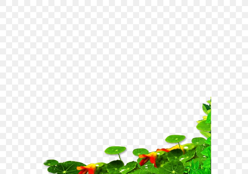 Leaf Green Petal Pattern, PNG, 576x576px, Leaf, Computer, Grass, Green, Petal Download Free