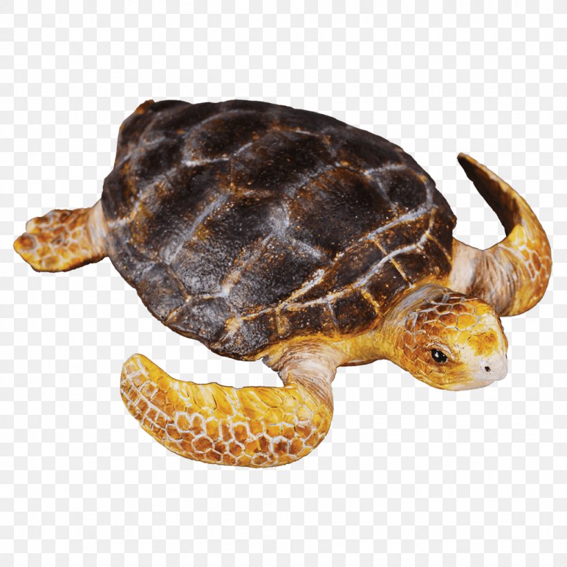 Loggerhead Sea Turtle Action & Toy Figures Figurine, PNG, 1024x1024px, Turtle, Action Toy Figures, Animal, Box Turtle, Dolphin Download Free