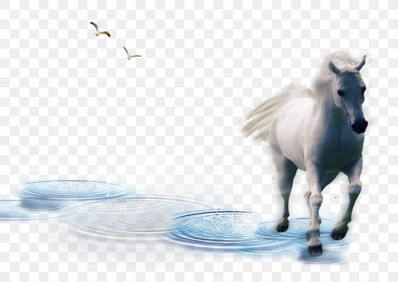 Mustang Download, PNG, 942x668px, Mustang, Art, Designer, Horse, Horse Like Mammal Download Free