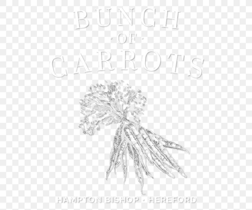 The Bunch Of Carrots Drawing Visual Arts Sketch, PNG, 550x684px, Bunch Of Carrots, Art, Artwork, Black And White, Carrot Download Free