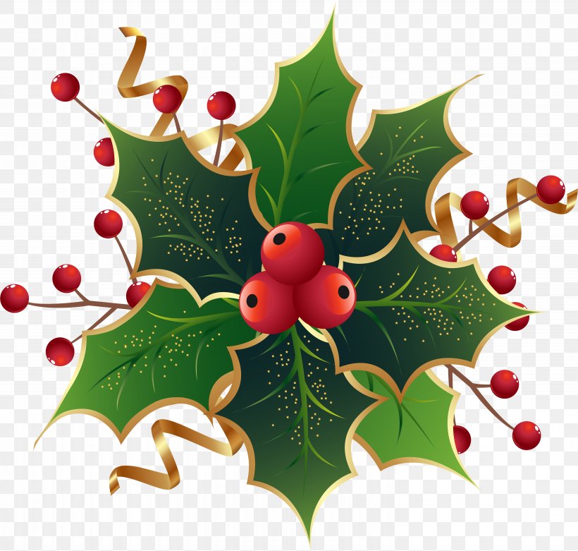 Clip Art Christmas Day Common Holly Mistletoe, PNG, 5915x5638px, Christmas Day, American Holly, Chinese Hawthorn, Christmas, Christmas Decoration Download Free