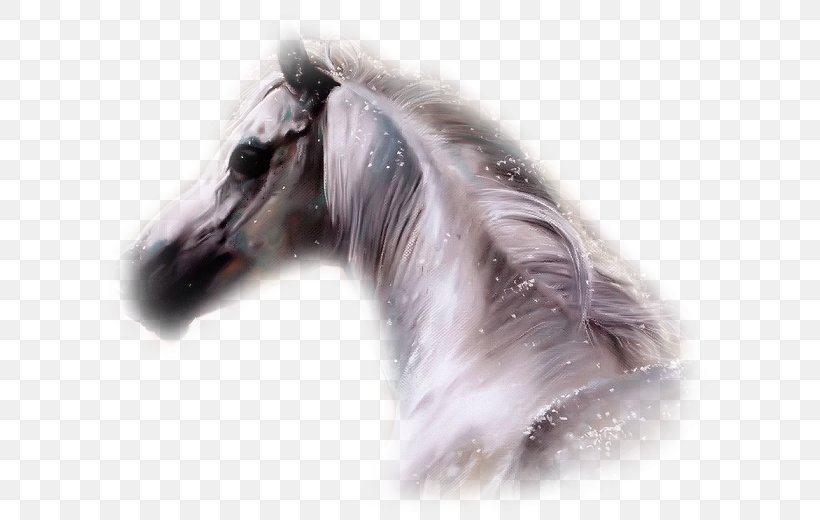 Horse Howrse Desktop Wallpaper Blog, PNG, 611x520px, Horse, Agence De Rencontre, Animal, Animation, Blog Download Free