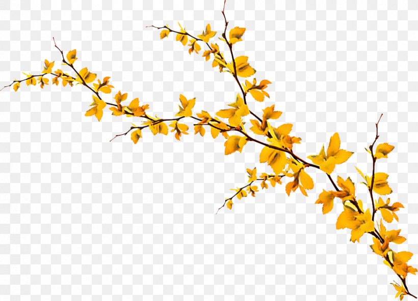 Branch Twig Yellow Plant Flower, PNG, 939x679px, Branch, Flower, Forsythia, Goldenrod, Plant Download Free