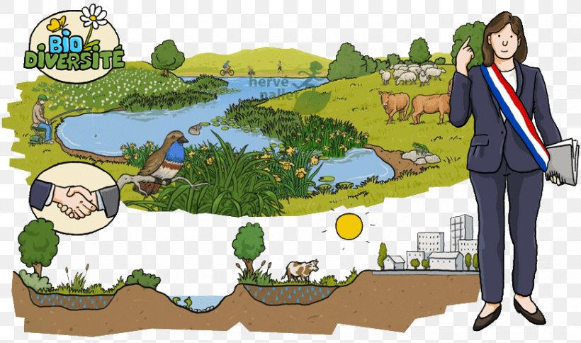 Drawing Wetland Illustration Natural Environment Water Resources, PNG,  870x514px, Drawing, Animation, Cartoon, Ecosystem, Film Download Free