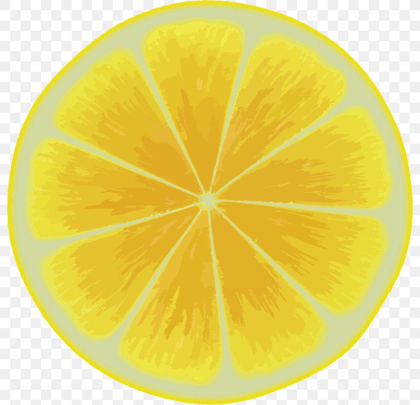 Lemon Citron Citric Acid Circle, PNG, 793x790px, Lemon, Acid, Citric Acid, Citron, Citrus Download Free