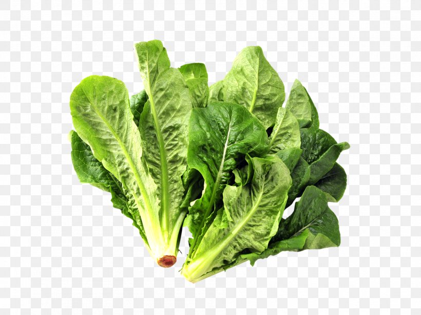 Romaine Lettuce Stock Pot Vegetable Wok Crock, PNG, 1892x1416px, Romaine Lettuce, Cast Iron, Chard, Chinese Broccoli, Choy Sum Download Free