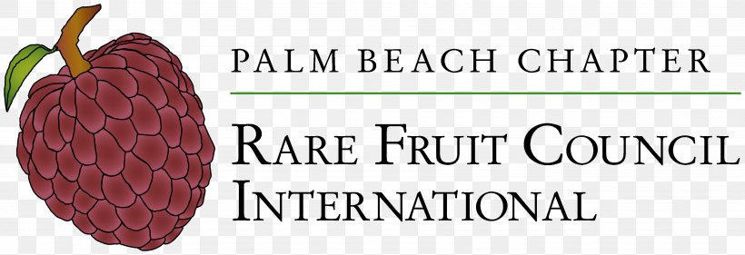Brand Superfood Fruit Font, PNG, 3612x1238px, Brand, Food, Fruit, Superfood Download Free