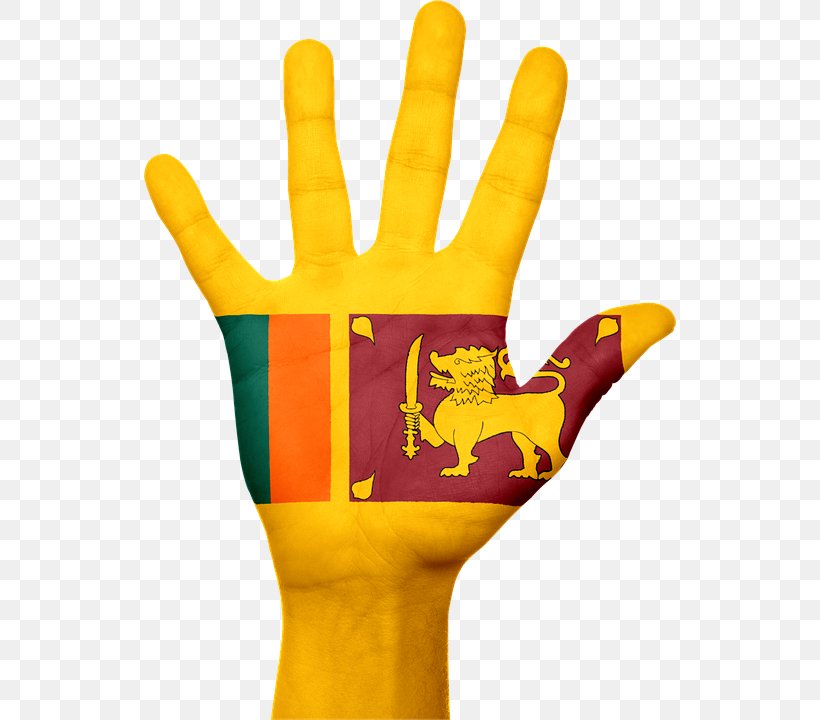 Flag Of Sri Lanka Stock Photography Image, PNG, 532x720px, Sri Lanka, Finger, Flag Of Sri Lanka, Gesture, Hand Download Free