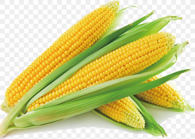 Sweet Corn Corn On The Cob Corn Soup Maize Vegetable, PNG, 2677x1907px, Sweet Corn, Baby Corn, Carbohydrate, Cereal, Commodity Download Free