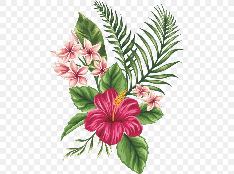 Flower Drawing Tropics Clip Art, PNG, 467x612px, Flower, Cut Flowers, Drawing, Floral Design, Floristry Download Free