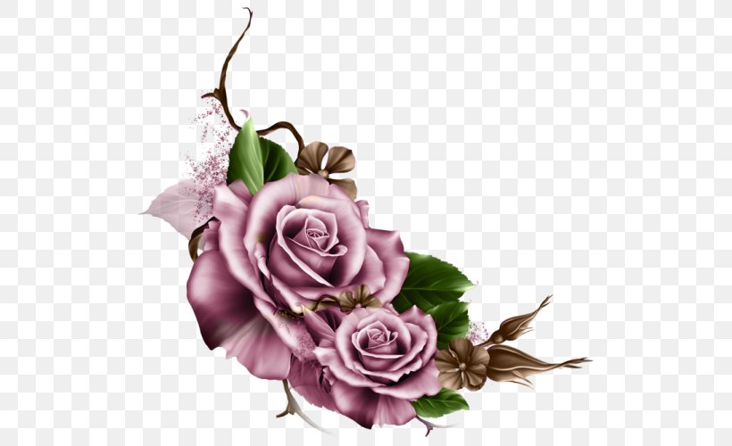 Garden Roses Picture Frames Floral Design Flower Clip Art, PNG, 525x500px, Garden Roses, Cut Flowers, Decorative Arts, Floral Design, Floristry Download Free