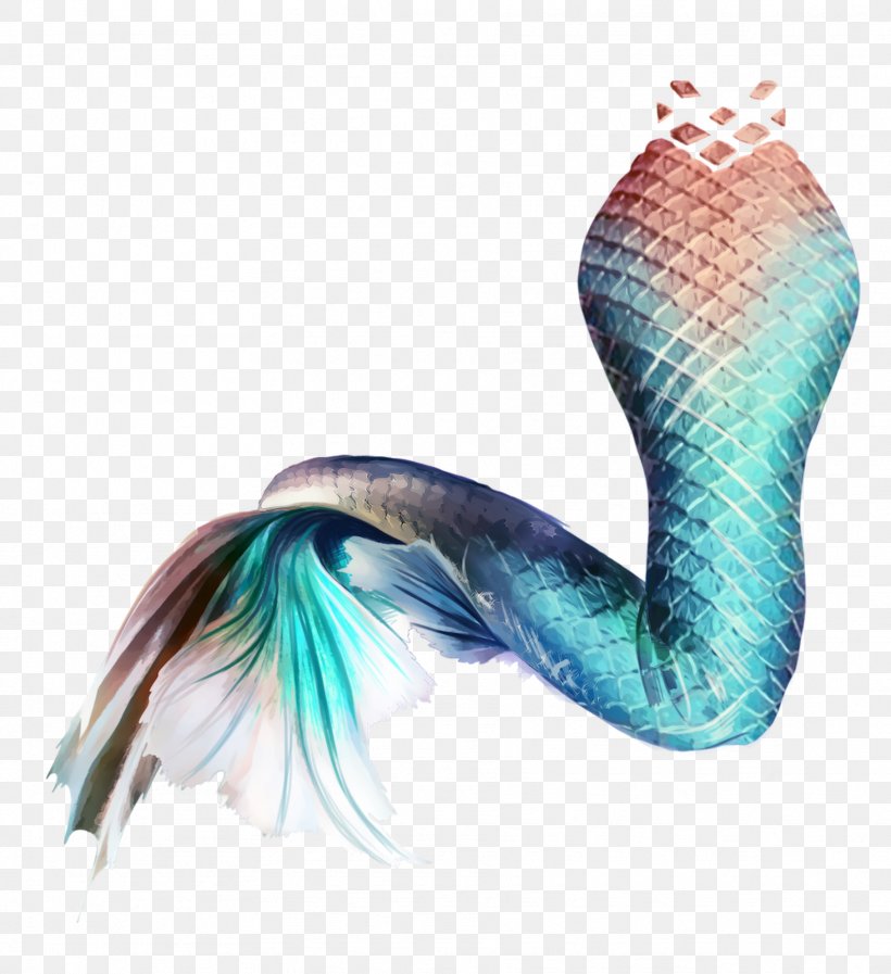 Mermaid Tail Siren Image Mug, PNG, 1817x1988px, Mermaid, Drawing, Feather, Mug, Mythical Creature Download Free