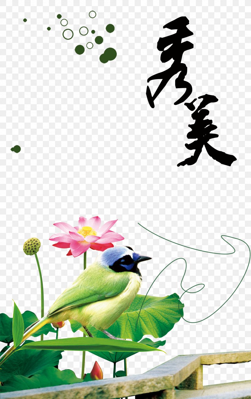 China Google Images, PNG, 2203x3500px, China, Afterglow, Art, Beak, Bird Download Free