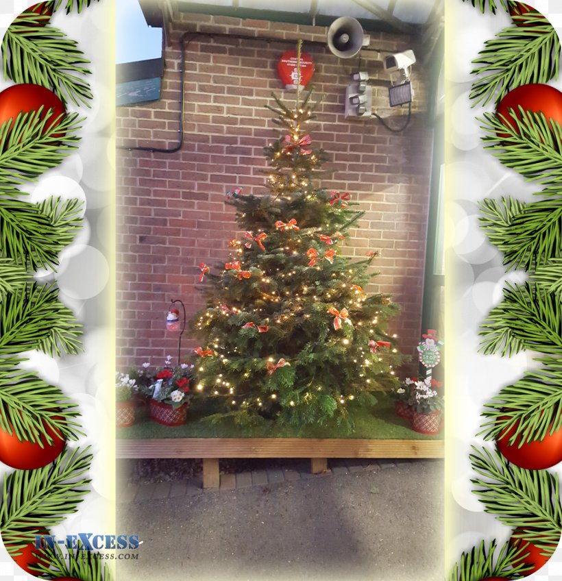 Christmas Tree Christmas Ornament Holiday Spruce, PNG, 1450x1500px, Christmas Tree, Christmas, Christmas Decoration, Christmas Ornament, Conifer Download Free