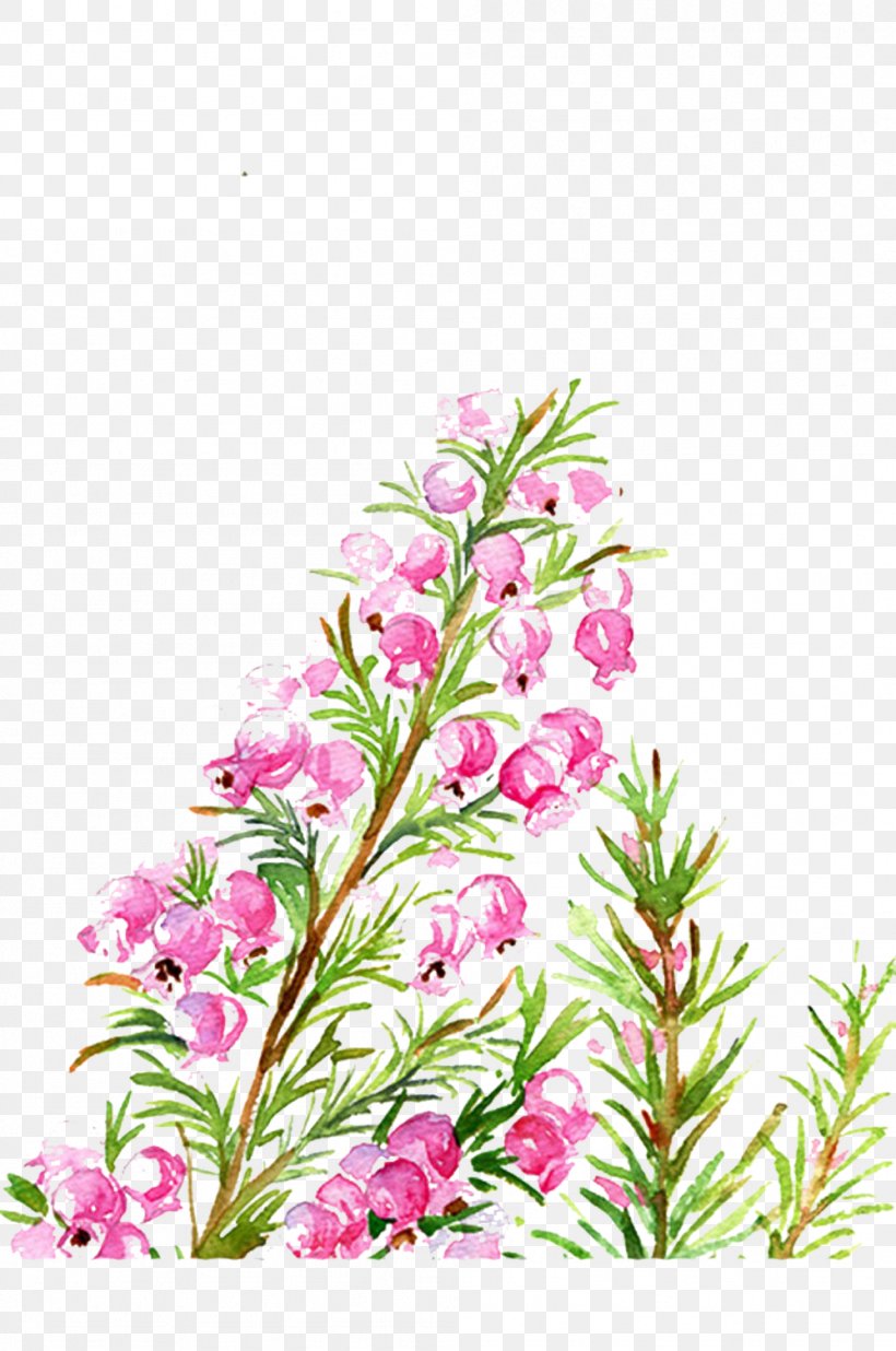 Floral Design Flower March, PNG, 999x1507px, Floral Design, Birth Flower, Birthday, Botanical Illustration, Branch Download Free