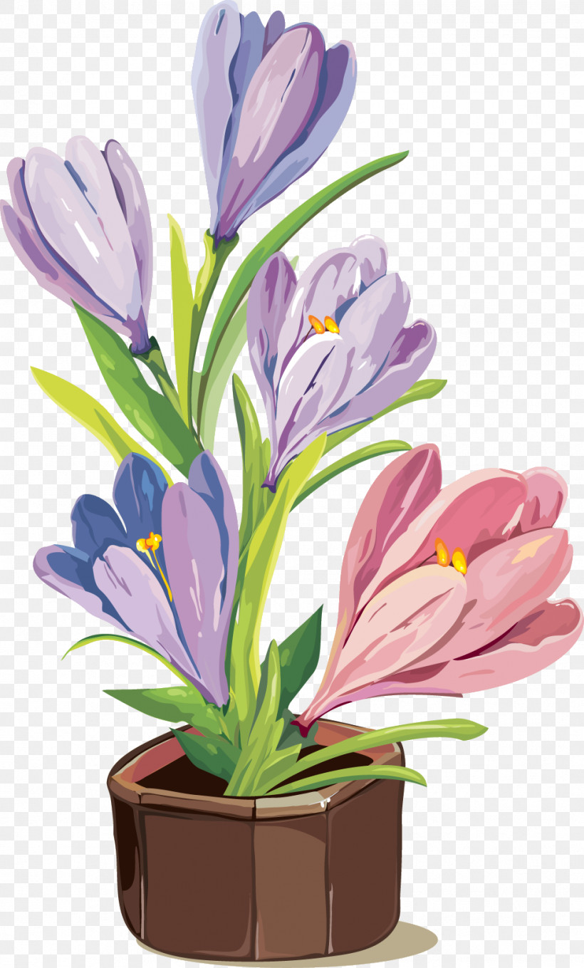 Flower Plant Crocus Petal Spring Crocus, PNG, 978x1622px, Drawing Flower, Crocus, Cut Flowers, Floral Drawing, Flower Download Free