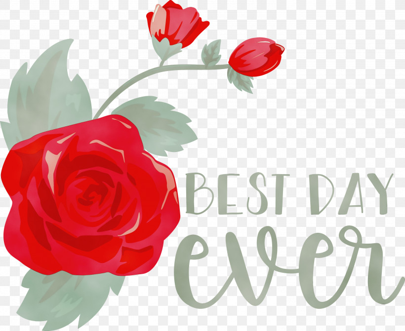 Garden Roses, PNG, 3000x2455px, Best Day Ever, Drawing, Flower, Garden, Garden Roses Download Free