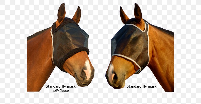 Halter Fly Mask Stallion Mustang Mare, PNG, 600x425px, Halter, Bit, Bridle, Fly, Fly Mask Download Free
