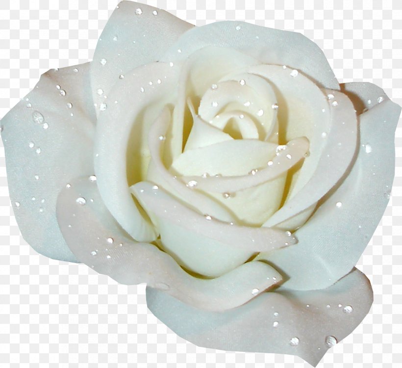 Rose White Clip Art, PNG, 1678x1536px, Rose, Color, Cut Flowers, Drawing, Flower Download Free