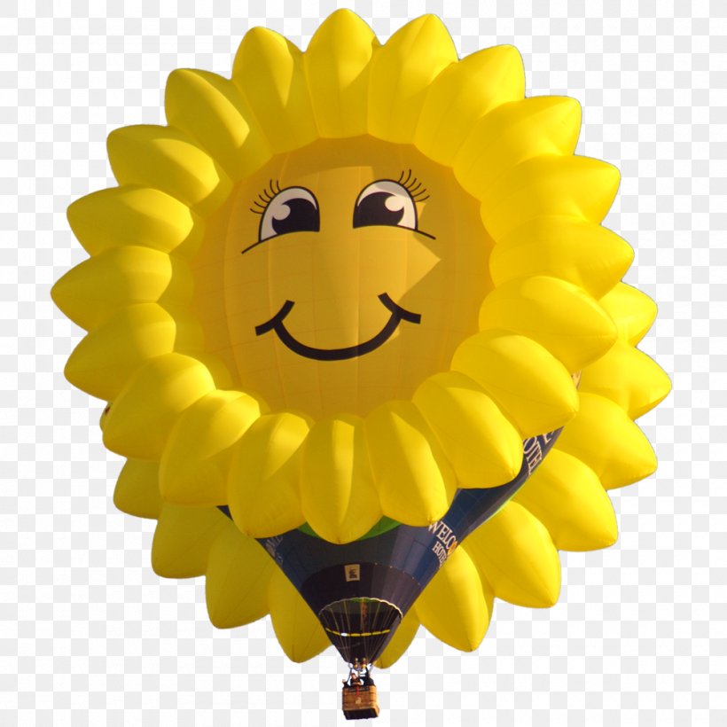Smiley Sunflower M Balloon, PNG, 1000x1000px, Smiley, Balloon, Flower, Flowering Plant, Happiness Download Free