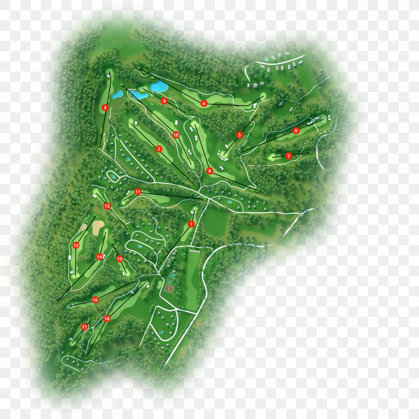 Souillac, Lot Dordogne Golf Course Hole, PNG, 1000x1000px, Dordogne, Departments Of France, Fir, France, Golf Download Free