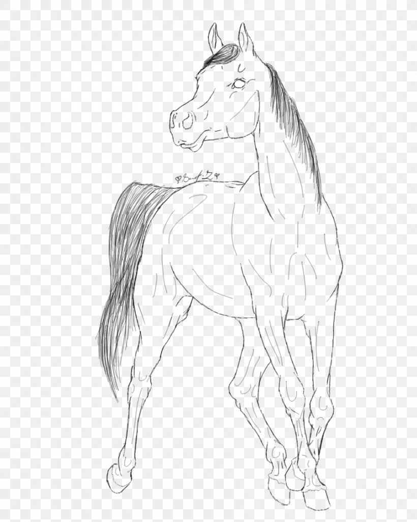 Arabian Horse Coloring Book Line Art Drawing Mustang, PNG, 900x1125px, Arabian Horse, Animal Figure, Arm, Artwork, Black And White Download Free
