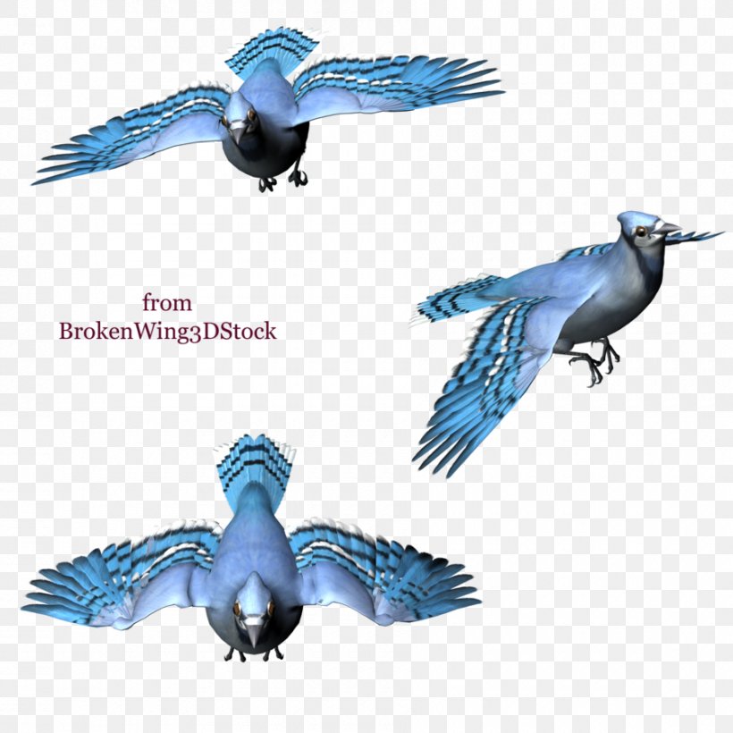 Blue Jay Bird Graphic by DIPA Graphics · Creative Fabrica