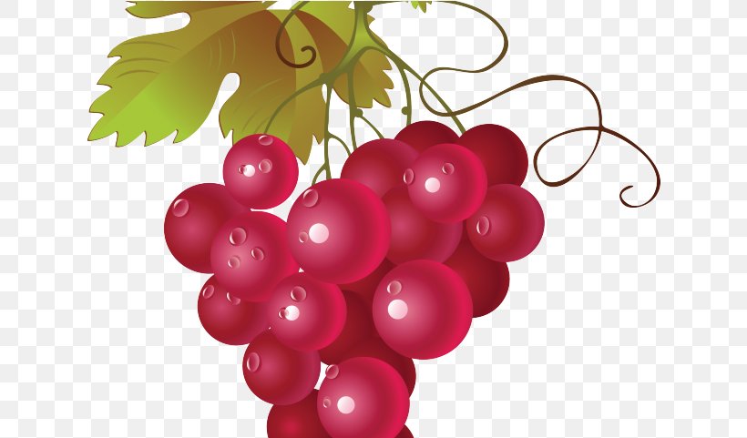 Pink Flower Cartoon, PNG, 631x481px, Common Grape Vine, Balloon, Berries, Berry, Concord Grape Download Free