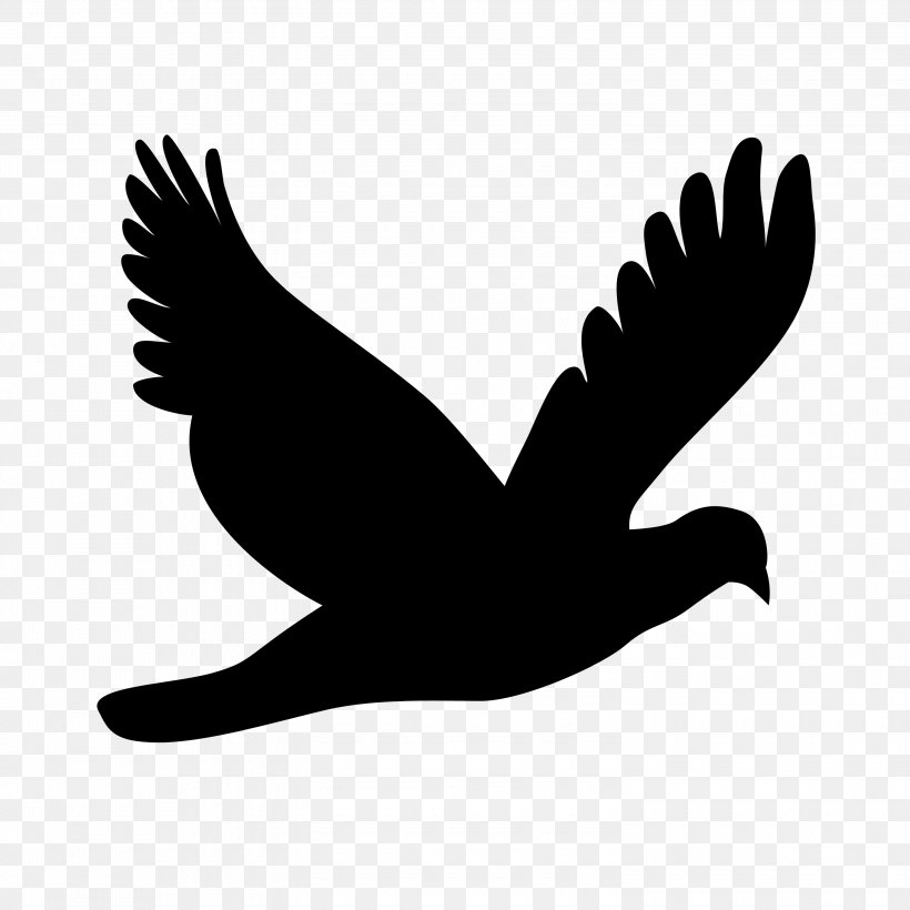 Silhouette Clip Art, PNG, 3000x3000px, Silhouette, Beak, Bird, Bird Of Prey, Black And White Download Free