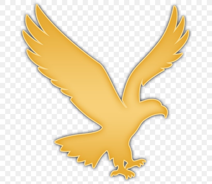 Bald Eagle Logo Clip Art, PNG, 679x710px, Eagle, Animal, Bald Eagle, Beak, Bird Download Free