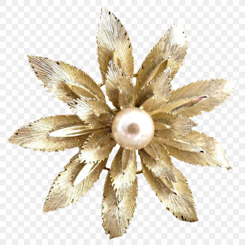 Brooch Flower, PNG, 1021x1021px, Brooch, Flower Download Free