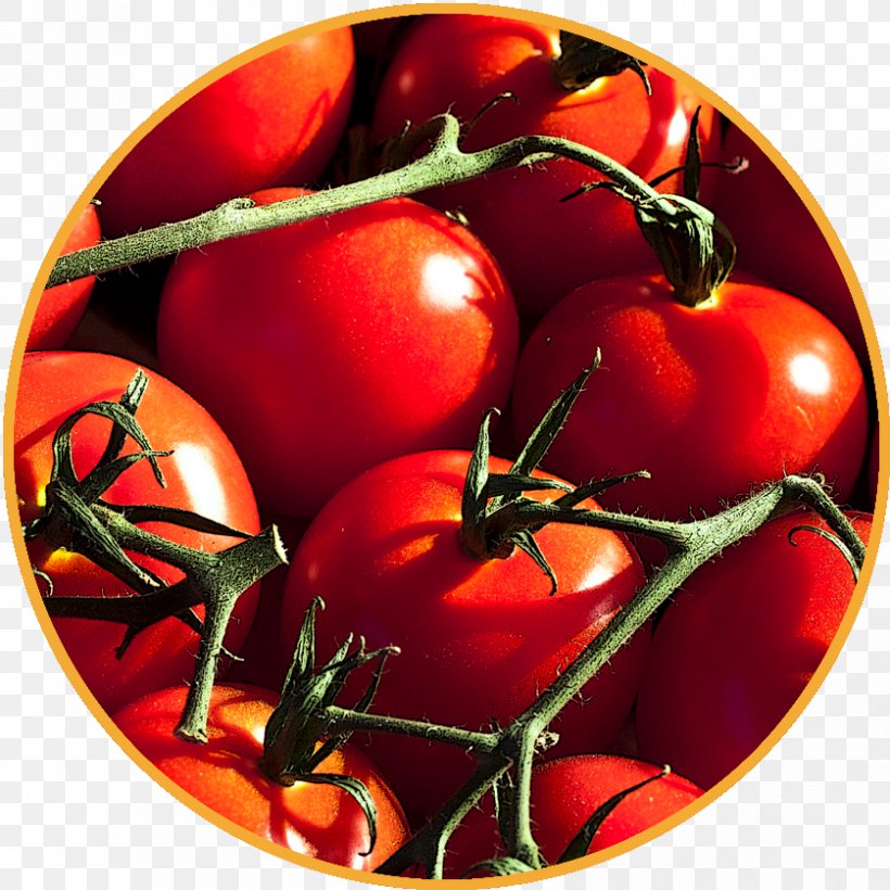 Organic Food Spaghetti Alla Puttanesca Health Vegetable, PNG, 838x838px, Food, Banana, Berry, Bush Tomato, Cherry Tomato Download Free