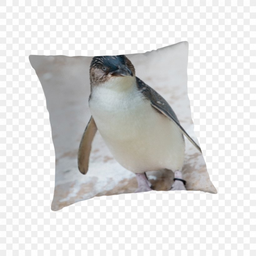 Penguin Cushion Throw Pillows Itabashi, PNG, 875x875px, Penguin, Bar, Beak, Bird, Cover Version Download Free