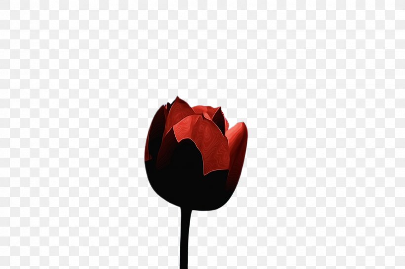 Tree Of Life, PNG, 2448x1632px, Tulip, Blossom, Bud, Computer, Coquelicot Download Free