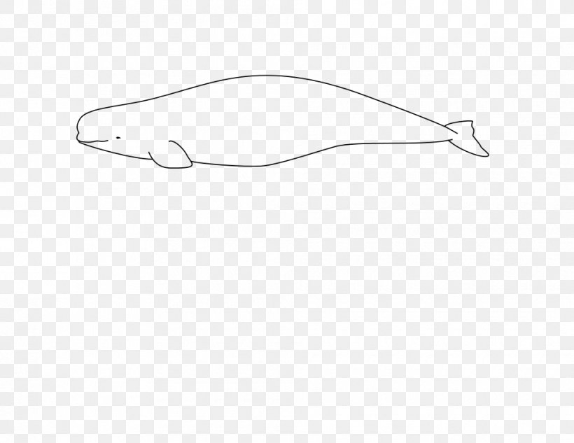 Beluga Whale Arctic Cetacea Der Weisswal: Delphinapterus Leucas Narwhal, PNG, 990x765px, Beluga Whale, Arctic, Beluga, Black, Black And White Download Free
